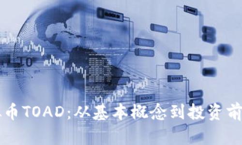 深入解析虚拟币TOAD：从基本概念到投资前景的全面分析