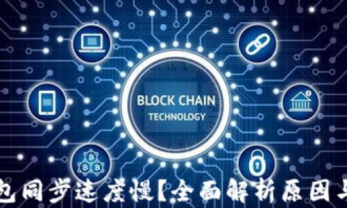 
虚拟币钱包同步速度慢？全面解析原因与解决方案