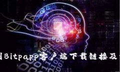 如何找到Bitpapp客户端下载