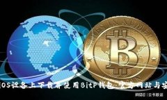 如何在iOS设备上下载并使