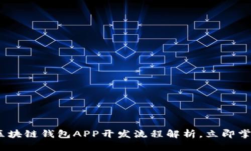 2025必看：区块链钱包APP开发流程解析，立即掌握核心要点！