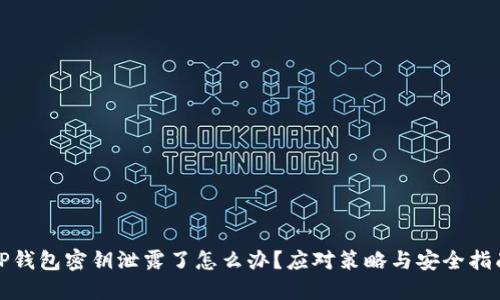 TP钱包密钥泄露了怎么办？应对策略与安全指南