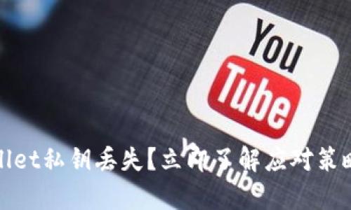 【2025必看】TPWallet私钥丢失？立即了解应对策略与数据恢复技巧！