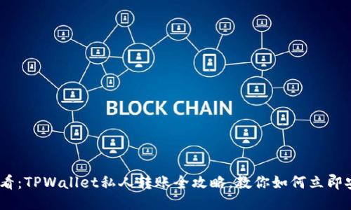 2025必看：TPWallet私人转账全攻略，教你如何立即安全转账