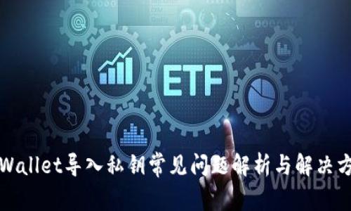 TPWallet导入私钥常见问题解析与解决方案