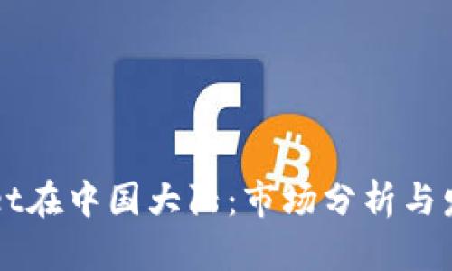 TPWallet在中国大陆：市场分析与发展潜力