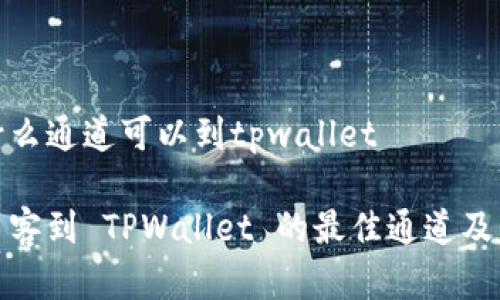 币客什么通道可以到tpwallet

探索币客到 TPWallet 的最佳通道及其优势