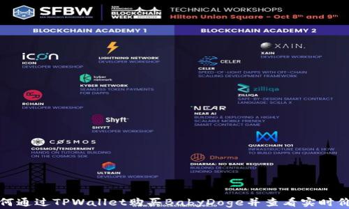 
如何通过TPWallet购买BabyDoge并查看实时价格