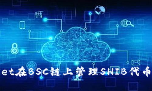 使用TPWallet在BSC链上管理SHIB代币的详细指南