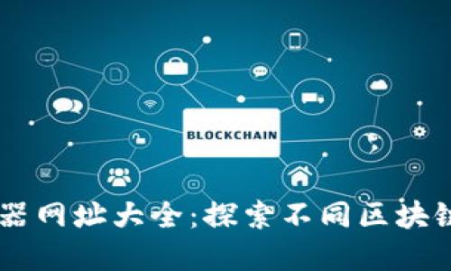 区块链浏览器网址大全：探索不同区块链网络的入口