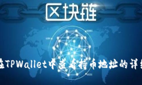 如何在TPWallet中查看持币地址的详细指南