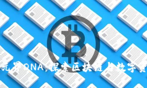 tpwallet元界DNA：探索区块链与数字资产的未来
