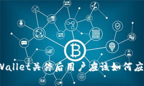 TPWallet关停后用户应该如何应对？