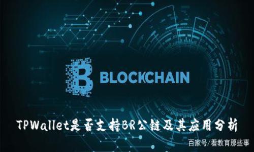 TPWallet是否支持BR公链及其应用分析