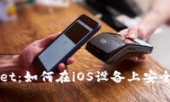 全面解析TPWallet：如何在iOS设备上安全使用的终极